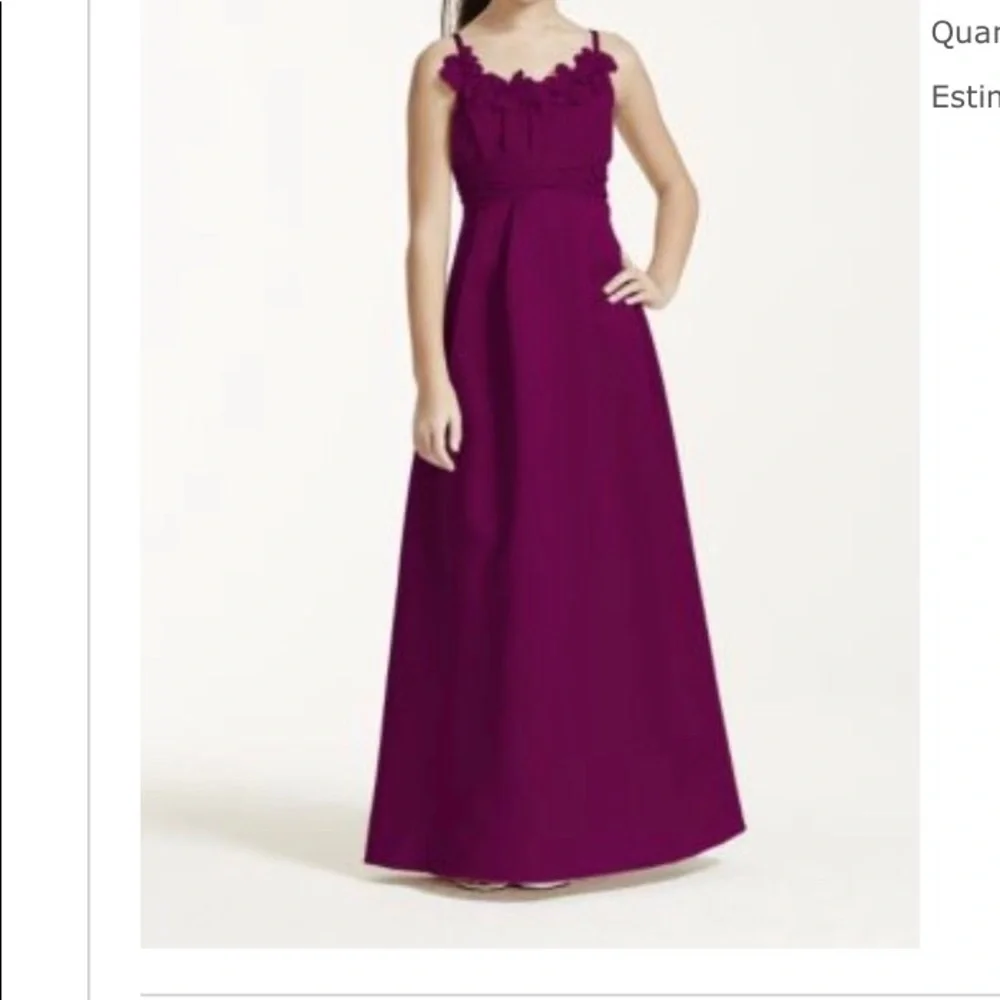 David’s Bridal Girls Dress - Picture 1 of 8